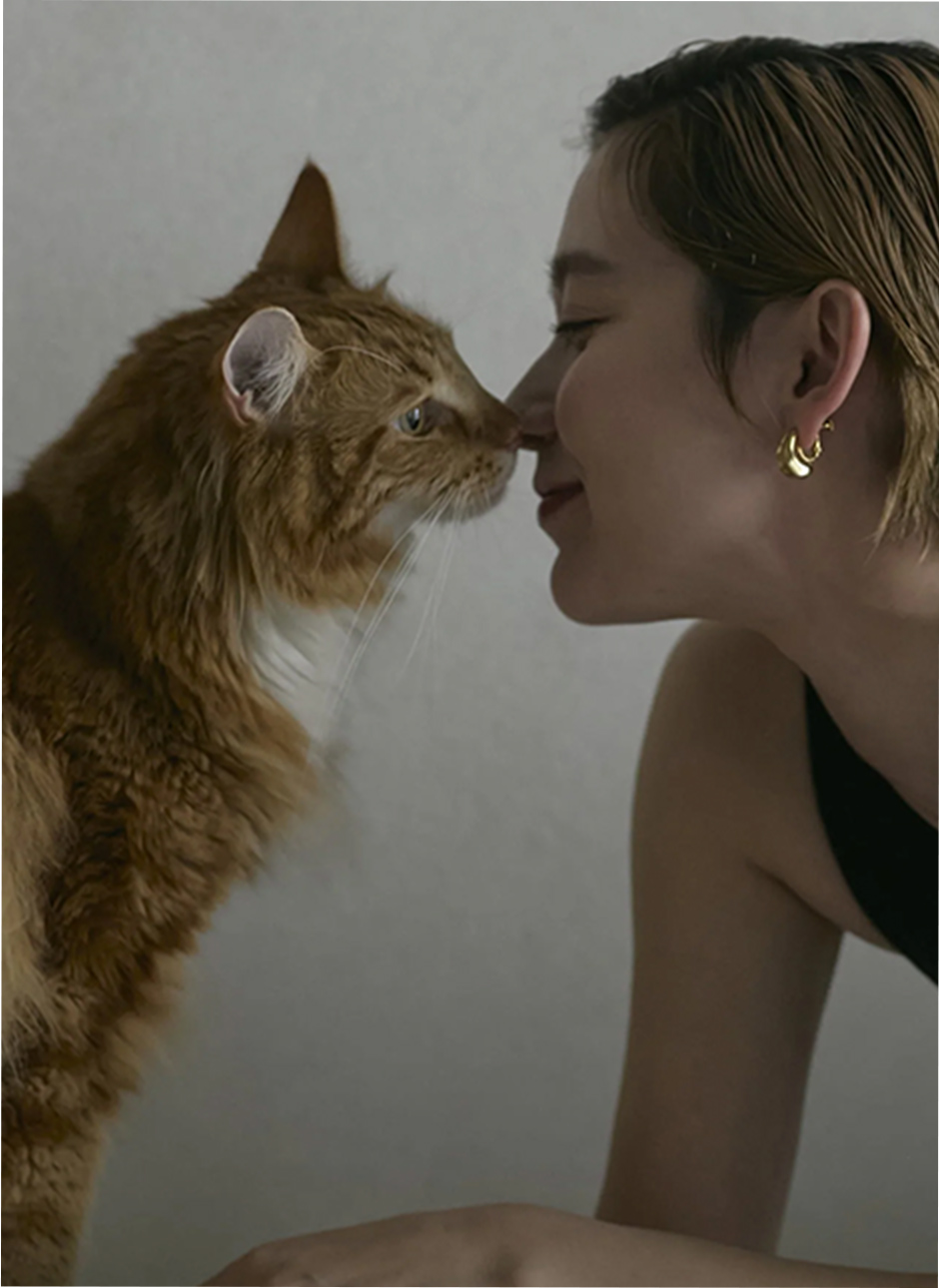 アンドキャット